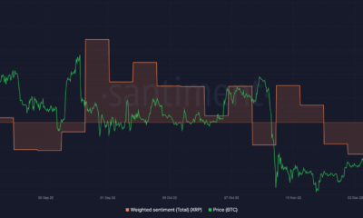 Ripple: XRP의 최근 가격 움직임에 대해 알아야 할 모든 것
