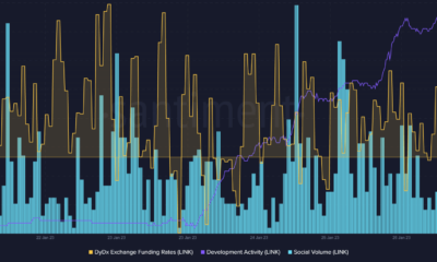 Chainlink: 황소 랠리 속에서 지속적인 고래 관심 가능성 탐색