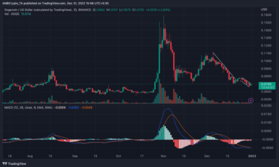 Dogecoin 가격 조치