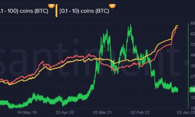 Bitcoin 소매 투자자의 관심이 성장의 핵심이되었습니다. 고래는 어디에 있습니까?