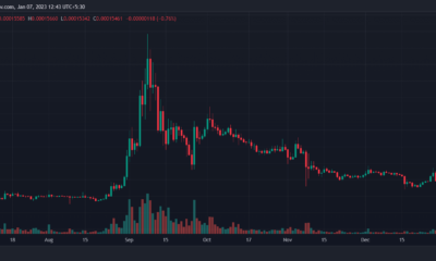 테라 루나 클래식 [LUNC] 가격 예측 2025-2030: LUNC에 롱 포지션을 취해야 할까요?