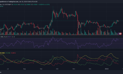 XRP 가격 조치