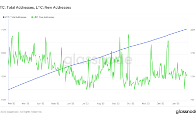 Litecoin 총 주소 및 새 주소