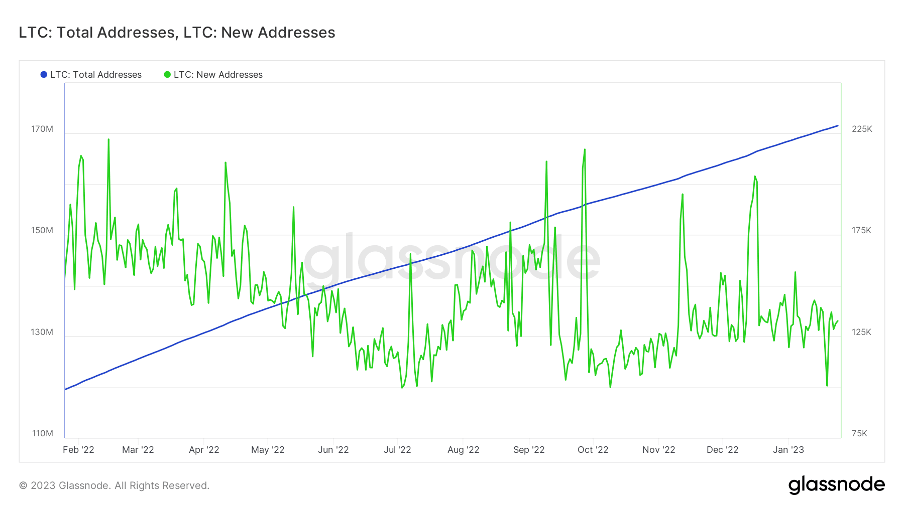 Litecoin 총 주소 및 새 주소