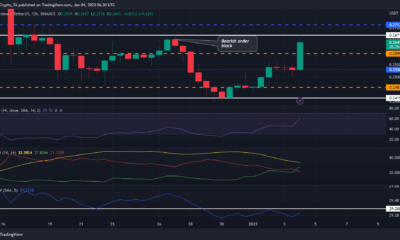 ADA 황소는 지지선으로 $0.2415를 확보했지만 이 새로운 장애물을 극복해야 합니다.