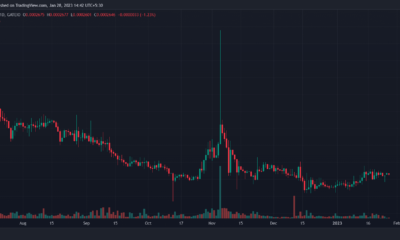 SafeMoon(SFM) 가격 예측 2025-2030: 단기 투자자는 SFM으로 이익을 얻습니다.