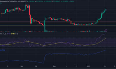 Curve Finance, ETH 고래의 승인 획득: 랠리가 시작됩니까?