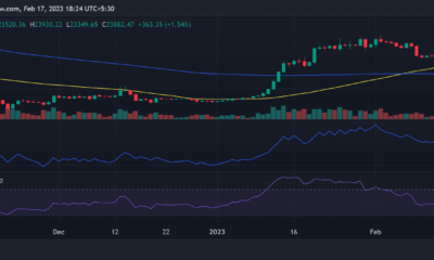 마운트곡스(BTC) 가격 변동