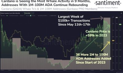 Cardano: 고래 활동과 호황을 누리고 있는 생태계가 ADA를 추진합니다