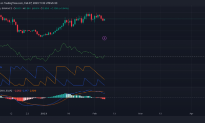 Chainlink, EVM 호환성을 위한 싸움이 치열해짐에 따라 새로운 파트너십 발표