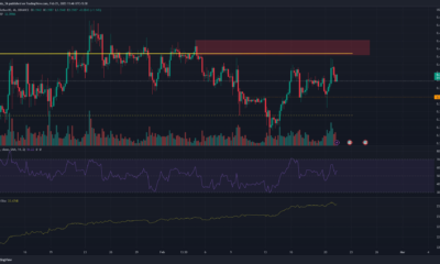 낙관적인 정서에 힘 입어 XRP 상승, 추가 5 % 상승 가능성