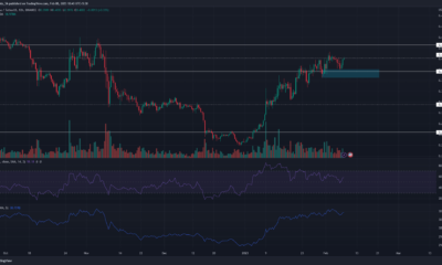 Cardano 황소는 얼마나 더 많은 녹색을 목격하게 될까요?