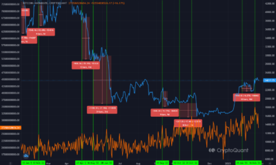 비트코인 해시레이트 및 BTC 가격