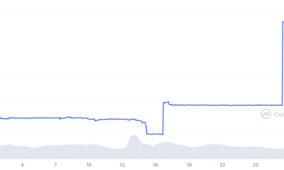 진정한 USD 시가 총액 변경