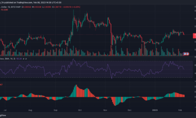 XRP 가격 조치