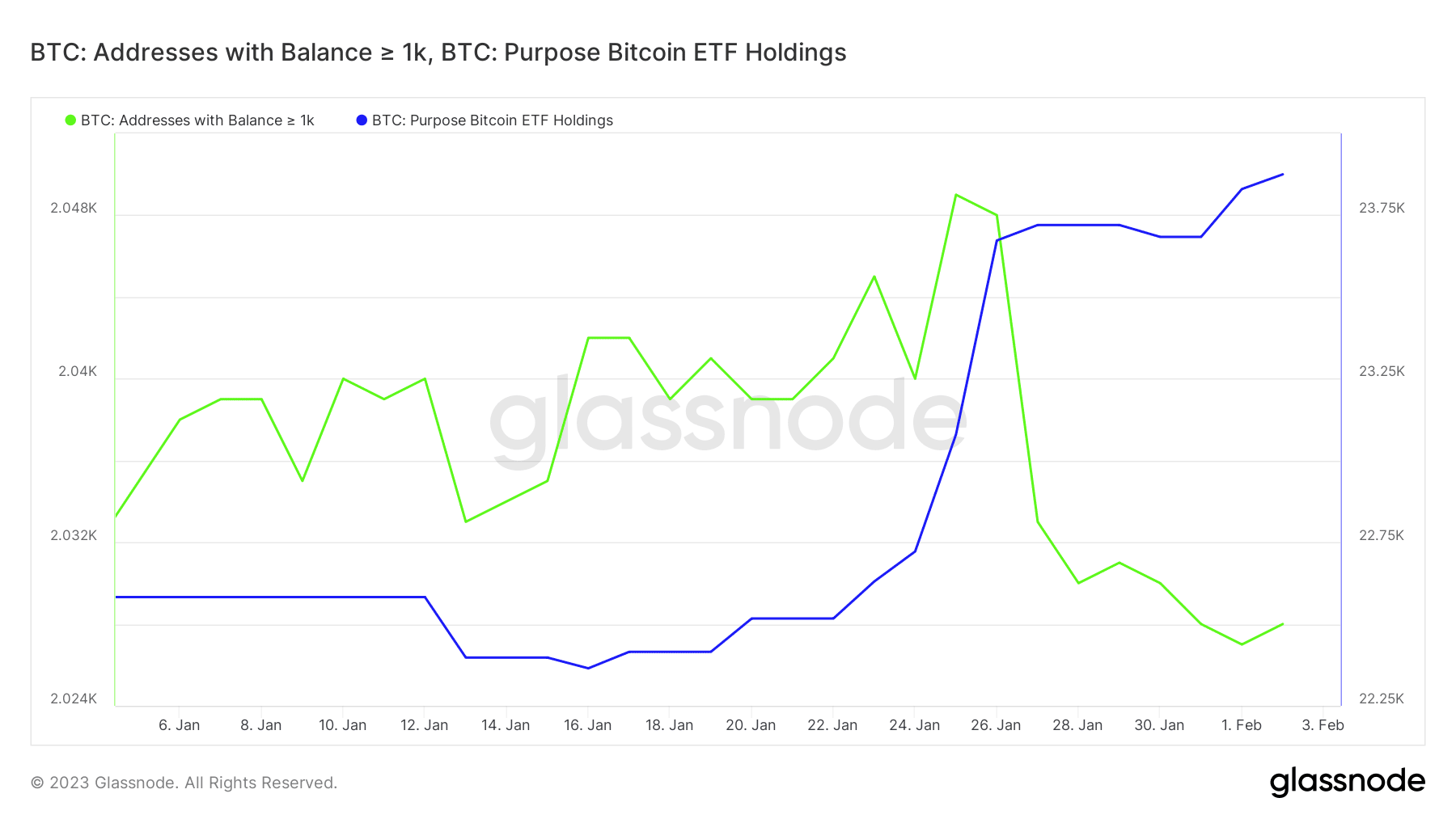 1k BTC 이상의 비트코인 주소 및 목적 비트코인 ETF 보유