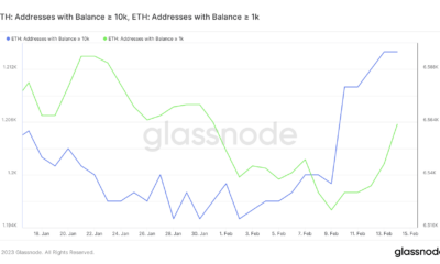 잔고가 많은 ETH 주소 수