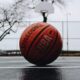 미국 SEC, 암호화 자산 홍보 혐의로 전 NBA 선수 기소
