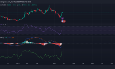 비트코인 캐시 이후의 다음 단계 [BCH] BTC의 코트테일을 타고 110달러 회수