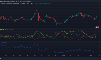 BNB 가격 행동