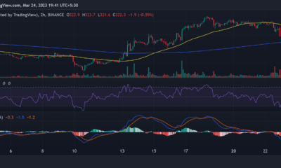 바이낸스(BNB) 가격 움직임