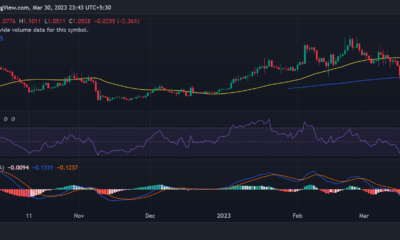 BONE/USD 일일 가격 움직임