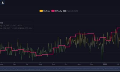 서수가 비트코인에 미치는 영향 분석 [BTC] 네트워크 트래픽