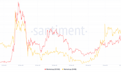 Dogecoin 및 Shiba Inu 시가 총액