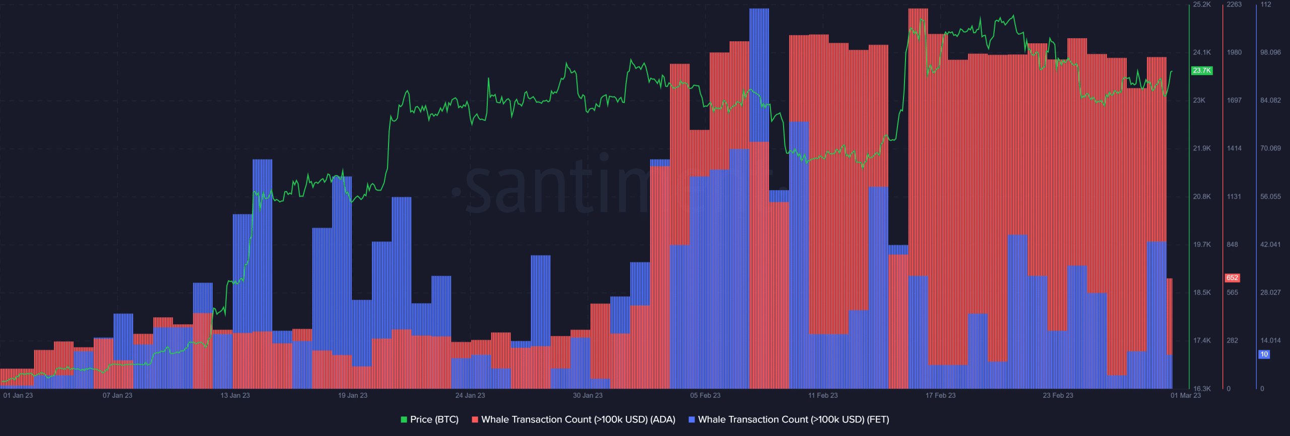 Cardano Fetch AI Whale 트랜잭션 수