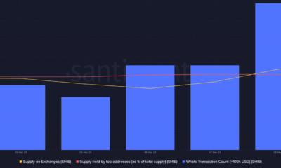 Dogecoin, Shiba Inu는 FTX와 같은 시나리오에 대비하여 시장이 스스로를 보호하면서 피를 흘립니다.