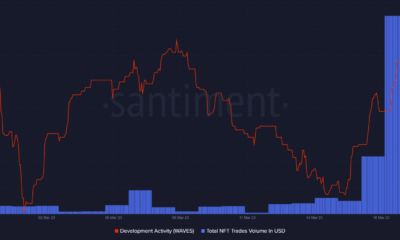 Waves NFT 거래량 및 개발 활동
