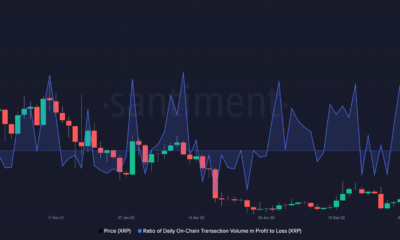 XRP 손익 비율