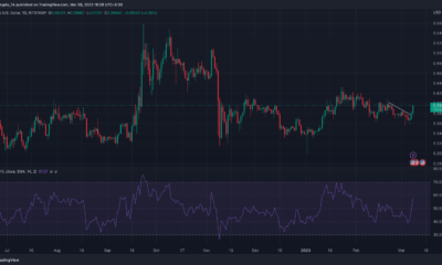 XRP 가격 조치