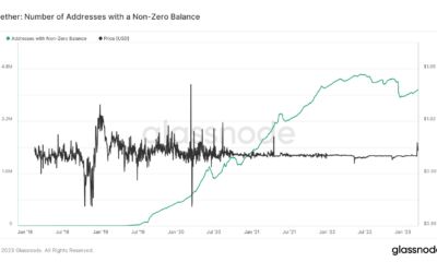 잔액이 0이 아닌 USDT 주소