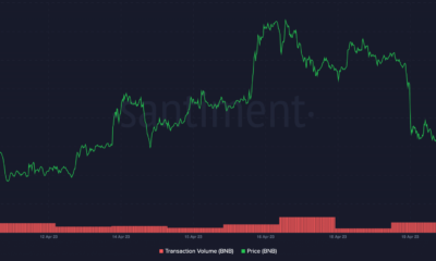 BNB 거래량 및 가격