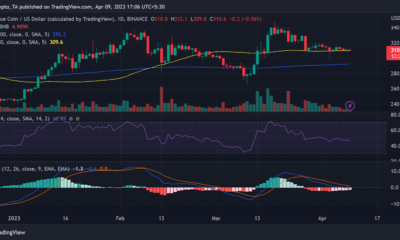 바이낸스(BNB) 가격 움직임