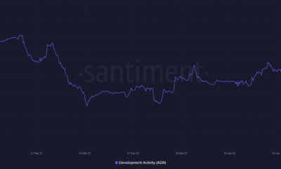 Cardano, 새로운 레이스 지갑 출시 - ADA에 큰 도움이 될까요?