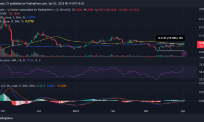 도지코인(DOGE) 가격 움직임