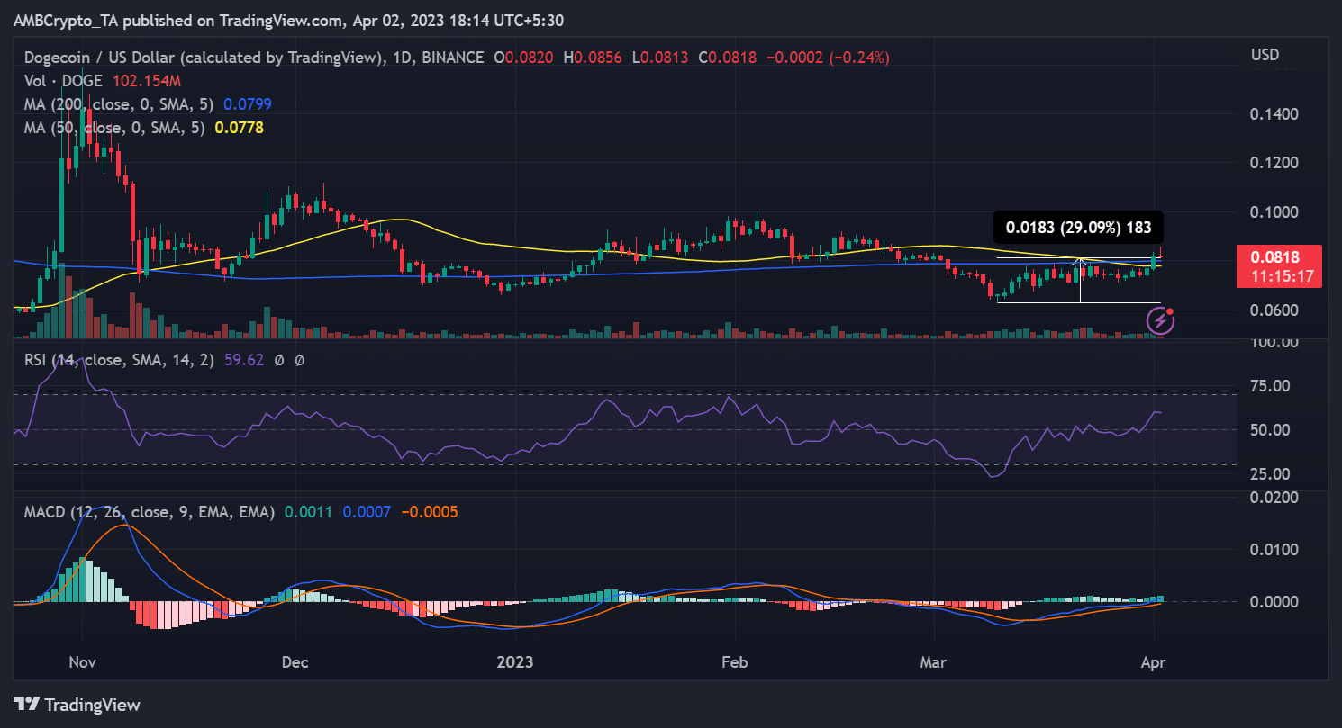 도지코인(DOGE) 가격 움직임