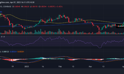 Dogecoin 일일 시간대 가격 움직임