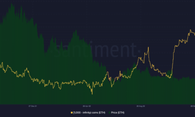 Ethereum 고래 축적 및 ETH 가격