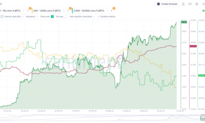 Bitcoin 고래는 FOMO를 경험하기 시작합니까?  이 새로운 데이터는 제안합니다…