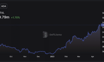 흥분한 Cardano 소지자는 ADA의 가격보다 더 기뻐할 수 있습니다.