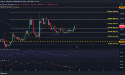 시바 이누 [SHIB] 61.8% Fib 수준에서 차단됨 – 판매자가 레버리지를 얻을 수 있습니까?