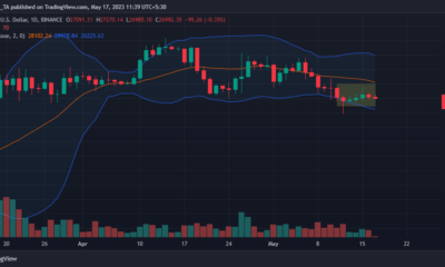 비트코인 [BTC]: 킹코인의 변동성 하락 요인 분석