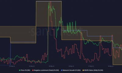 플로키 이누 [FLOKI] memecoin 공간에서 틈새를 개척하지만 여기에 캐치가 있습니다.