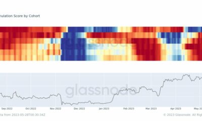 Bitcoin은 $ 28.2k를 회수하고 고래는 흥분을 보여줍니다…