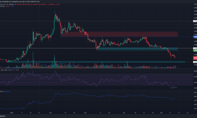 Shiba Inu는 차트에서 또 다른 10% 하락을 경험할 예정입니다.