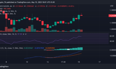 SUI/USD 가격 움직임