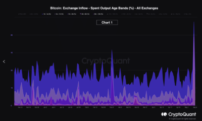 BTC는 STH와 시장 공황 사이의 교차 공격의 고통을 견딜 수 있습니까?